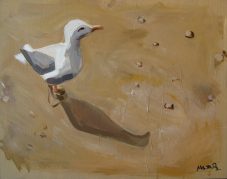 Gaivota